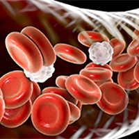 造血幹細胞