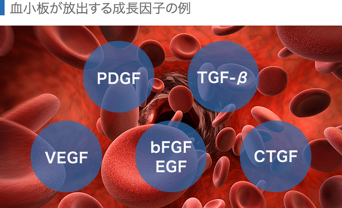 血小板が放出する成長因子の例